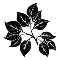Black Silhouette Illustration of Branch with Leaves Botanical Design Element for Art