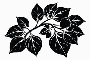 Minimalist Black and White Illustration of Branch with Leaves and Berries Isolated