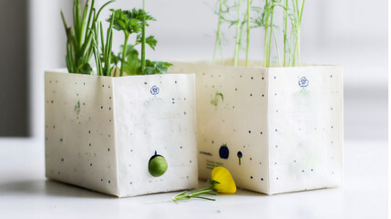 Flat-lay and lifestyle images of biodegradable packaging, paper bags, reusable containers, and organic product branding.