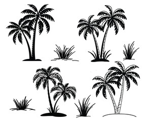 Palm trees and grass isolated on white background in a black silhouette