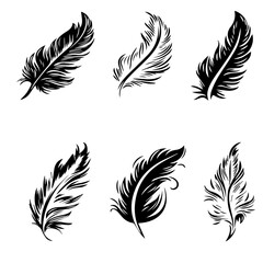 Obraz premium feather file set of 6