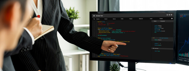Software development programming on computer screen for brisk application and program coding