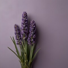 Obraz premium Elegant Lavender Sprigs on a Solid Purple Background A Minimalist Botanical Image