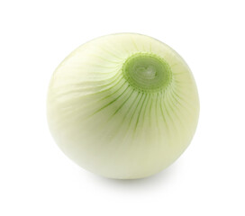 One whole ripe onion isolated on white