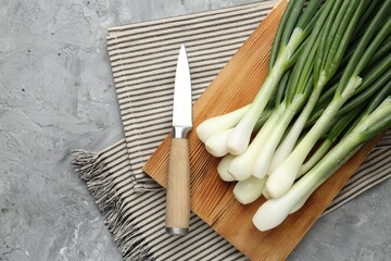 Fresh ripe green onions with cutting board and knife on grey textured table, flat lay. Space for...