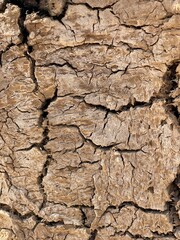 Old classic cracked mud wall, cover image.