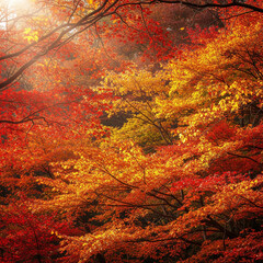 Autumn Leaves Seasonal Nature Background