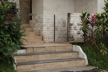 Different plants growing near stairs of hotel