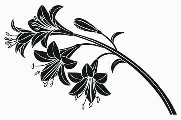 Elegant silhouette shows black lilies in graceful arrangement, showcasing petals and stem