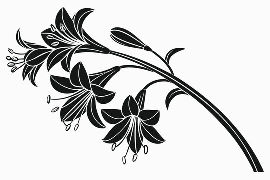 Elegant silhouette shows black lilies in graceful arrangement, showcasing petals and stem