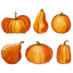 Pumpkins for autumn harvest, Halloween, and Thanksgiving design. For greeting cards, posters, flyers, banners for fall festivals and farmers’ markets, packaging, website, game icons, textile design