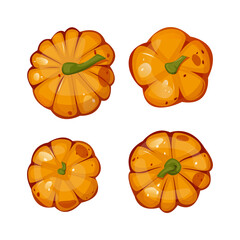 Pumpkins for autumn harvest, Halloween, and Thanksgiving design. For greeting cards, posters, flyers, banners for fall festivals and farmers’ markets, packaging, website, game icons, textile design