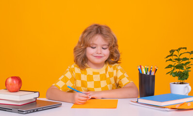 School kid student learning, study language or literature at school. Elementary school child....