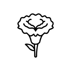 Hand drawn line art lisianthus flower summer bloom