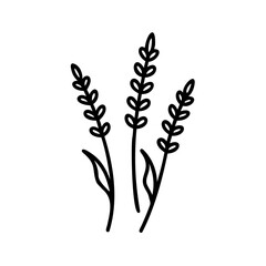 Hand drawn summer wheat stalks minimalist line art