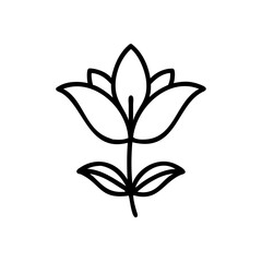 Hand drawn summer flower simple line art botanical illustration