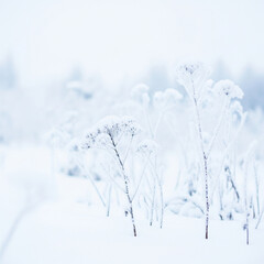 Christmas Snow Winter Landscape Background