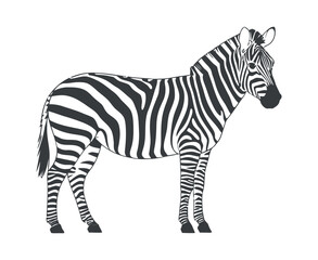 Side view of a zebra in black and white illustration style