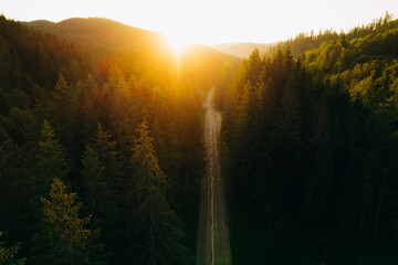 Aerial view of beautiful forest on the hill and mountains at sunset. Colorful landscape with beautiful sunbeam light.