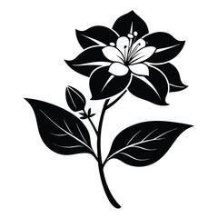 Black and White Floral Illustration Blooming Flower with Leaves and Bud Vector Design