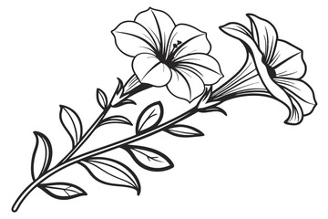 Two petunia flowers bloom on a stem with leaves in black and white drawing