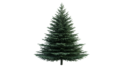Green Christmas Tree Abstract Background isolated on a transparent background