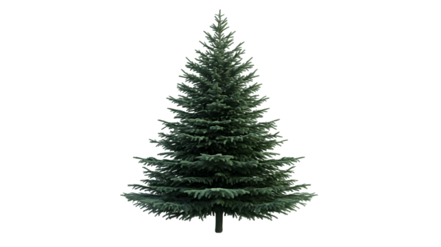 Green Christmas Tree Abstract Background isolated on a transparent background