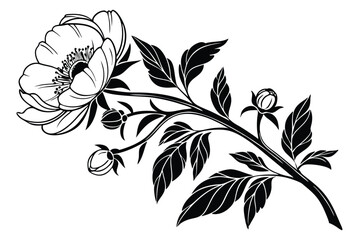 Open peony flower on a graceful stem with buds and leaves is shown