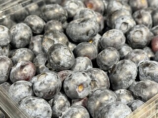 Delicious and Fresh Blueberries Packaged in Convenient Plastic Containers for Your Enjoyment