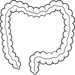 Large intestine anatomy outline drawing medical illustration