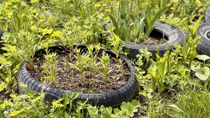 Creative Garden Design Utilizing Recycled Tires for Aesthetic Outdoor Spaces. Colorful plants, flourishing within recycled tires, artfully create a stunning and ecofriendly garden aesthetic