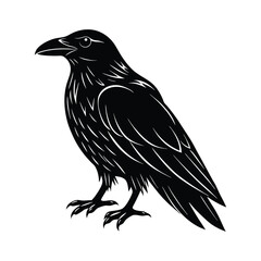 crow on white background