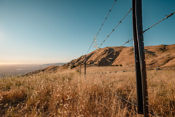 Golden Grassland and Barbed Wire Fence at Mission Peak