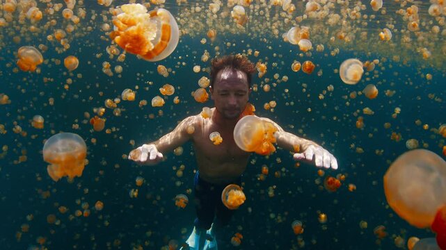 Freediver swims in the lake full of jellyfish. Male diver gently glides underwater among the millions of jellyfish