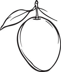 hand-drawn black and white mango with leaves — minimalist fruit illustration for culinary and botanical design