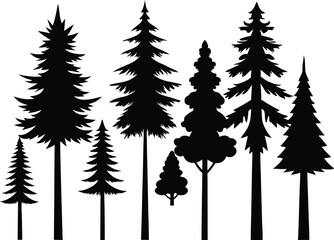 Fototapeta premium Silhouettes of seven evergreen trees in a row