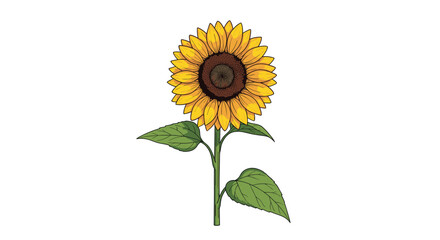 Obraz premium The Beauty of the Sunflower A Golden Symbol of Warmth and Positivity in Nature