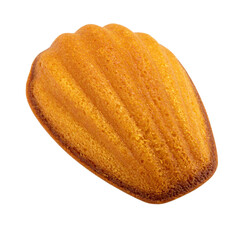 Golden brown shell-shaped madeleine cake against a clean backdrop on transparent background