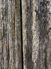 Vertical close-up of aged and weathered wood planks with natural texture and bark remnants.