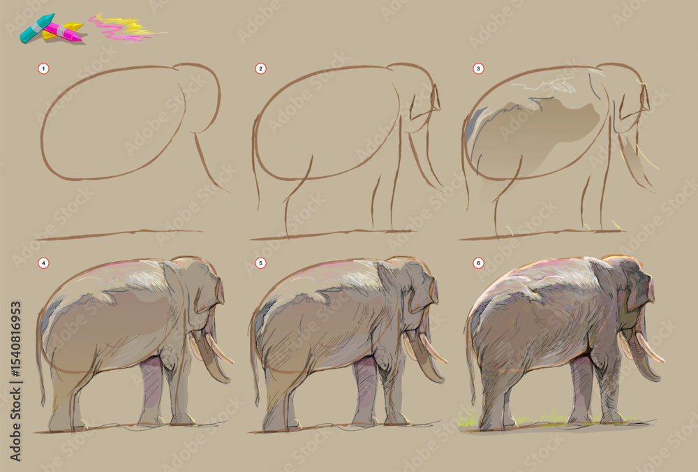 Wall mural page shows how to learn to draw from life sketch of the asian elephant. creation step by step painti