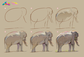 Page shows how to learn to draw from life sketch of the Asian elephant. Creation step by step painting with pastel chalks. Educational page for artists. Hand drawn vector illustration.