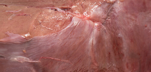 Raw Beef liver background and texture.
