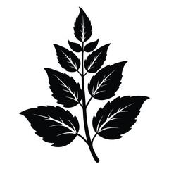 Stylized Black Leaf Branch Illustration, Botanical Vector Art for Design Elements and Decoration