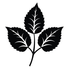 Fototapeta premium Black Vector Illustration Depicting Three Serrated Leaves Connected By A Single Stem