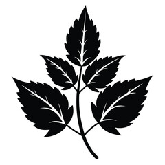 Black Silhouette of Three Leafy Sprigs with Serrated Edges and Prominent Veins