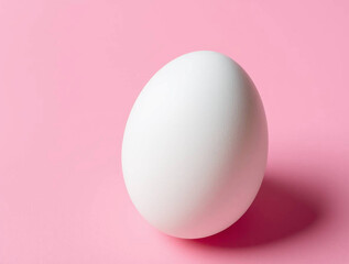 Fototapeta premium Single White Egg Upright on Soft Pink Background - Minimalist