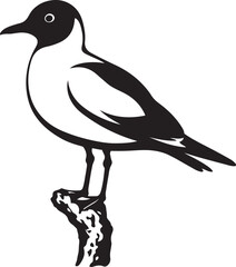 Seagull perched on branch bird silhouette, Seabird resting silhouette black and white