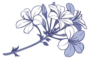 Artistic jasmine branch shows intricate floral elements, conveying beauty and elegance in botanical representation