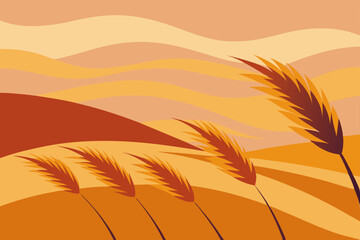 Golden wheat ears silhouette at sunset in a summer field