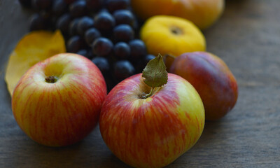 Black grapes, yellow leaves, various fruits on a blackboard